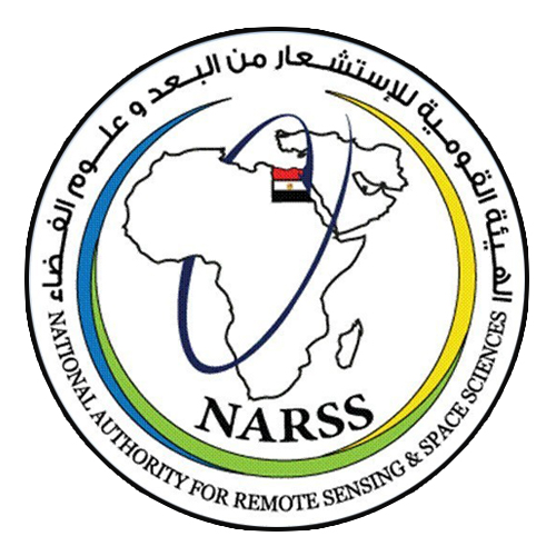 NARSS-square-logo